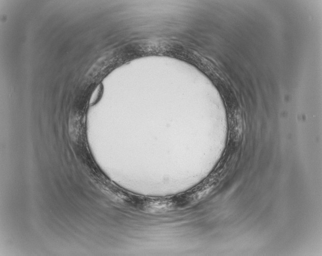 X0000070380511200607072157