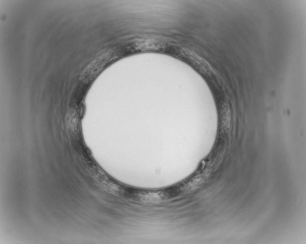 X0000070380513200607072157