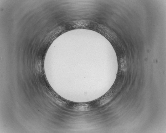 X0000070380514200607072157