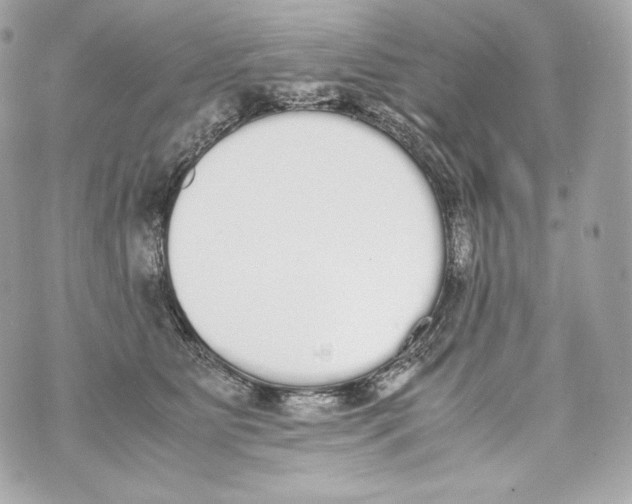 X0000070380515200607072157