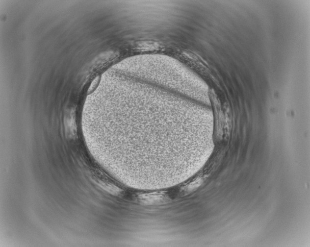 X0000070380516200607072157