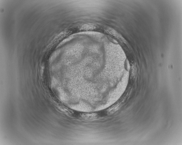 X0000070380517200607072157