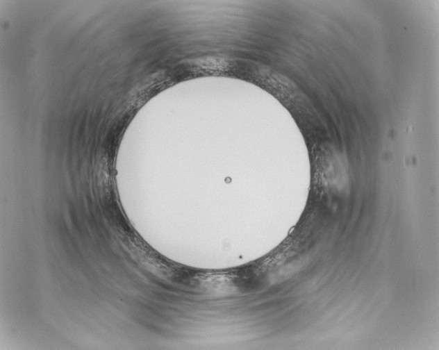 X0000070380518200607072157