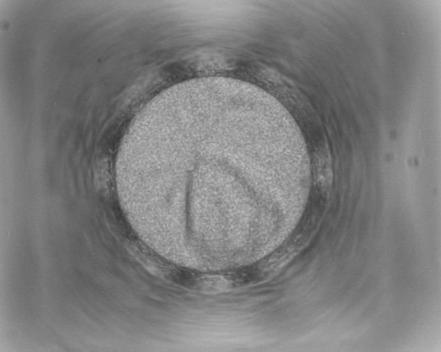 X0000070380519200607072157