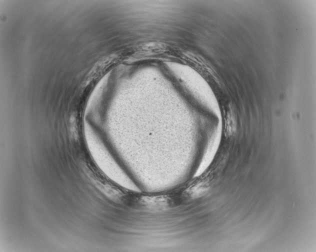 X0000070380520200607072157