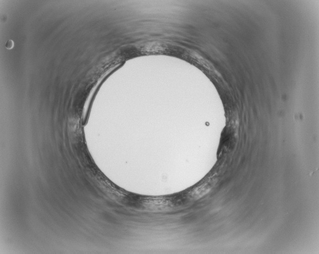 X0000070380521200607072157