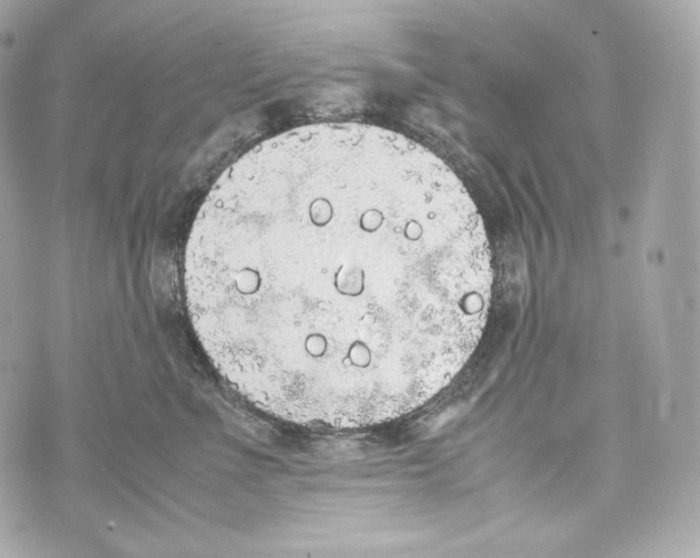 X0000070380523200607072157