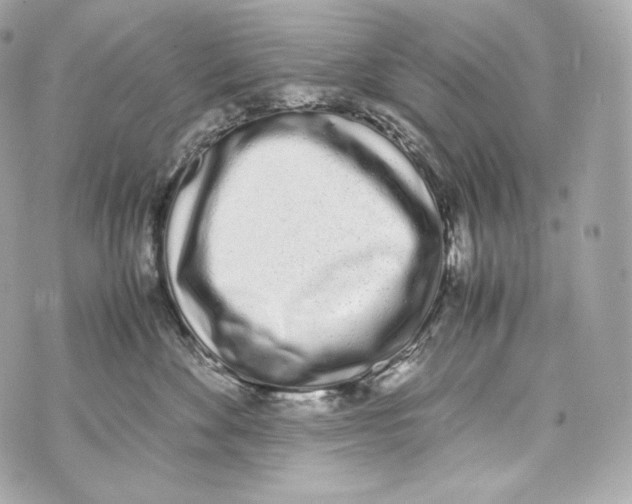 X0000070380524200607072157