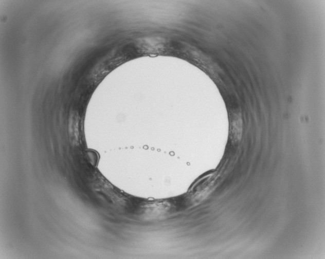 X0000070380525200607072157