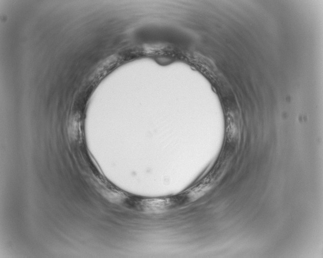 X0000070380527200607072157