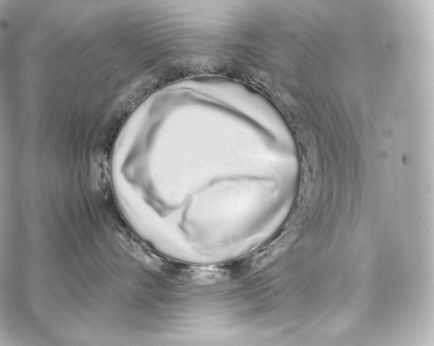 X0000070380528200607072157