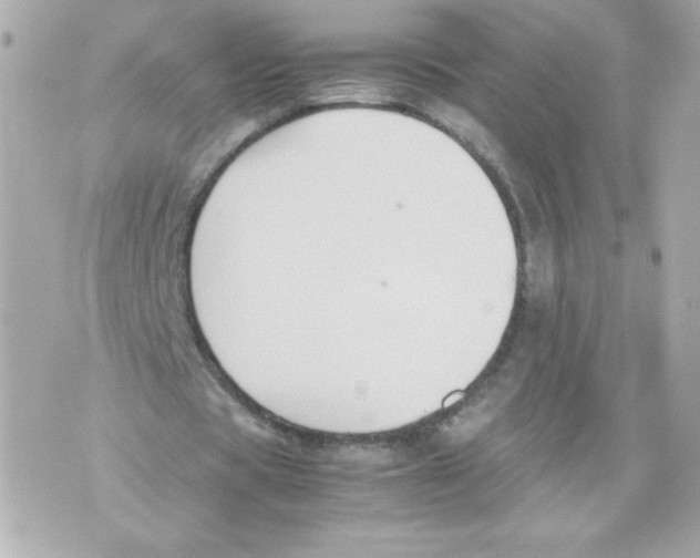 X0000070380529200607072156