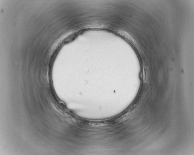 X0000070380531200607072156