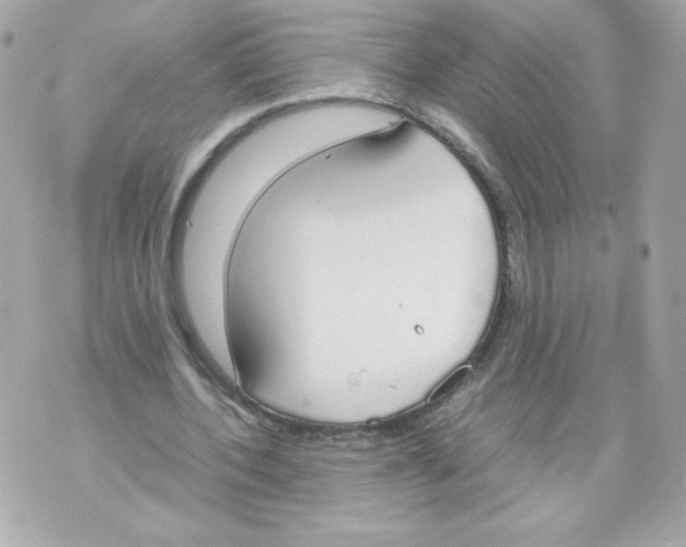 X0000070380532200607072156