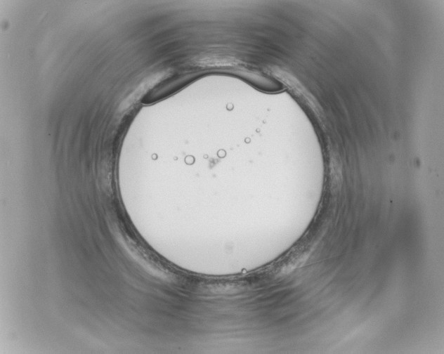 X0000070380533200607072156