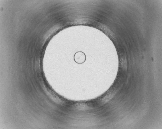 X0000070380534200607072156