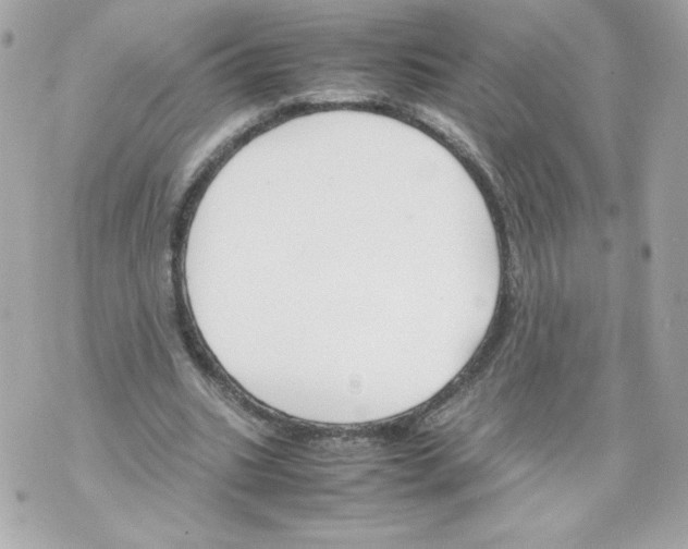 X0000070380535200607072156