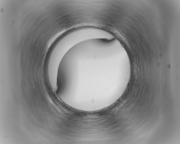 X0000070380536200607072156