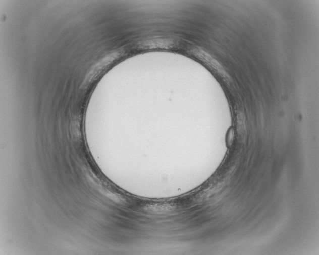 X0000070380537200607072156