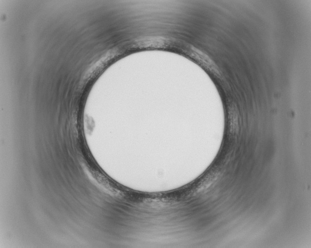 X0000070380538200607072156