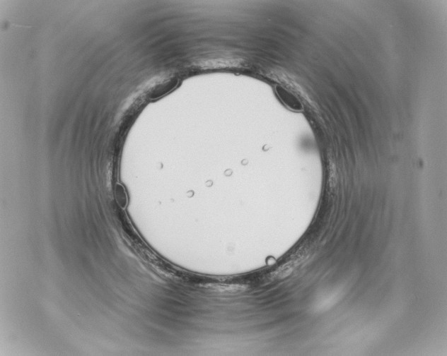 X0000070380539200607072156