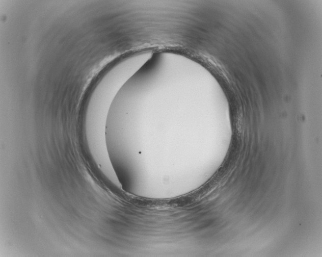 X0000070380540200607072156