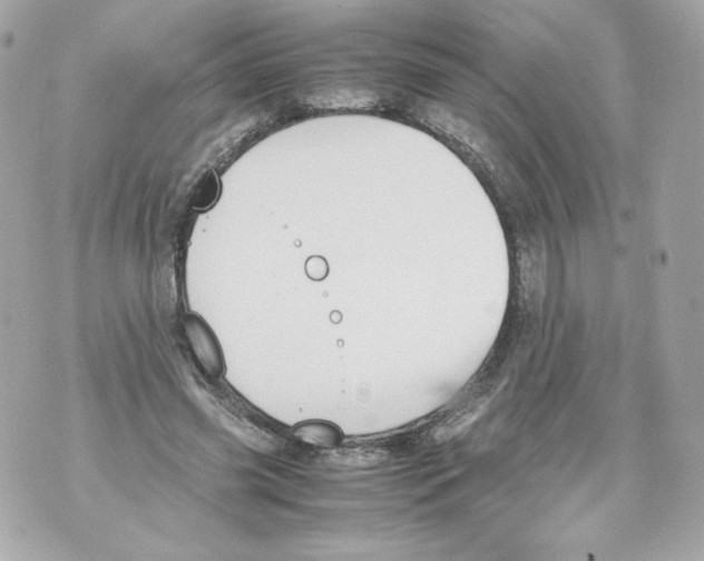 X0000070380541200607072156