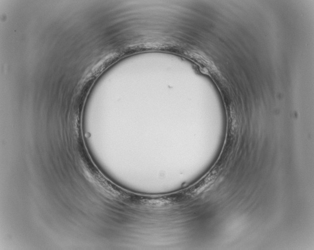 X0000070380542200607072156