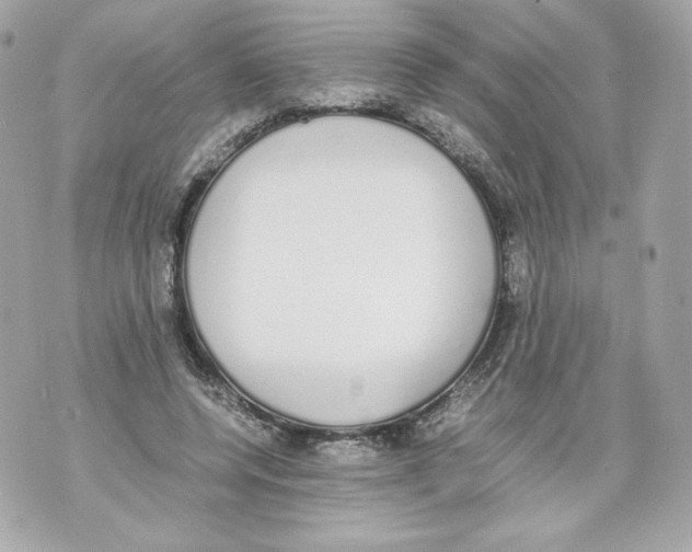 X0000070380544200607072156