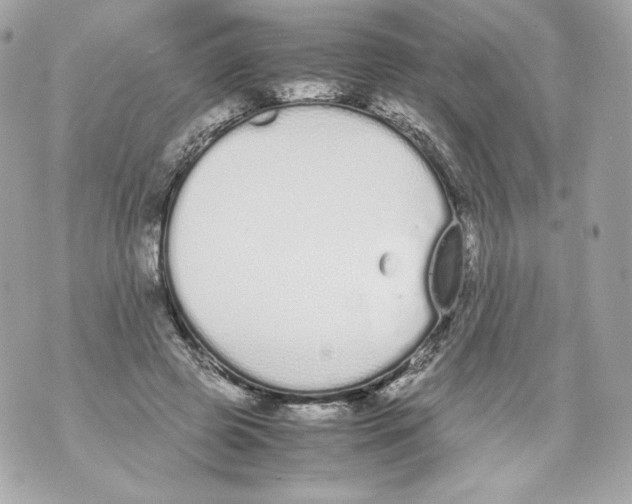 X0000070380545200607072156