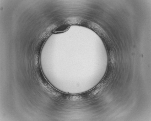 X0000070380546200607072156