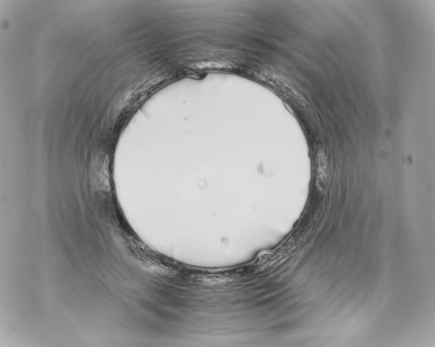 X0000070380547200607072156