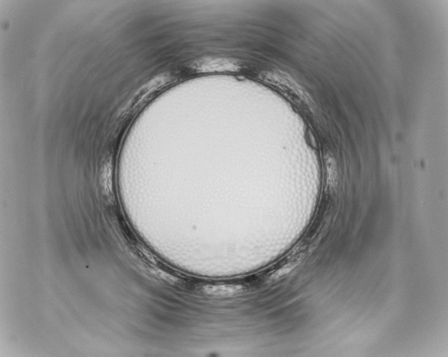 X0000070380549200607072156