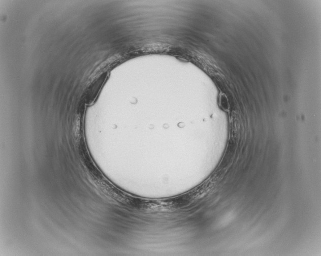 X0000070380550200607072156