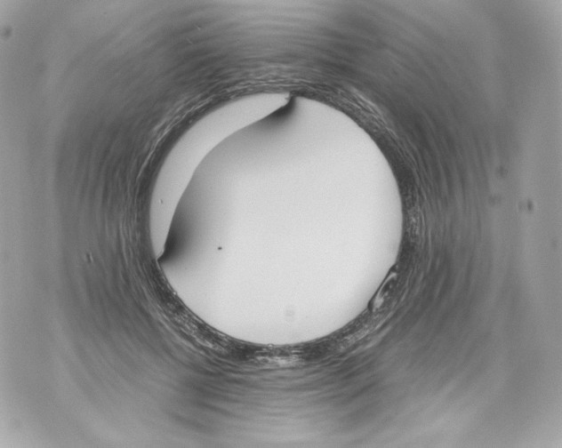 X0000070380552200607072157