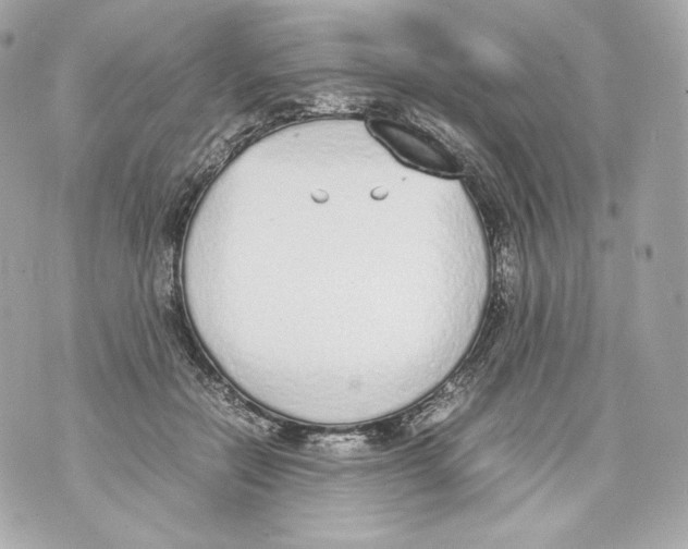 X0000070380554200607072157