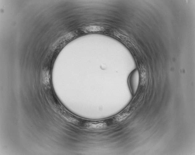 X0000070380555200607072157