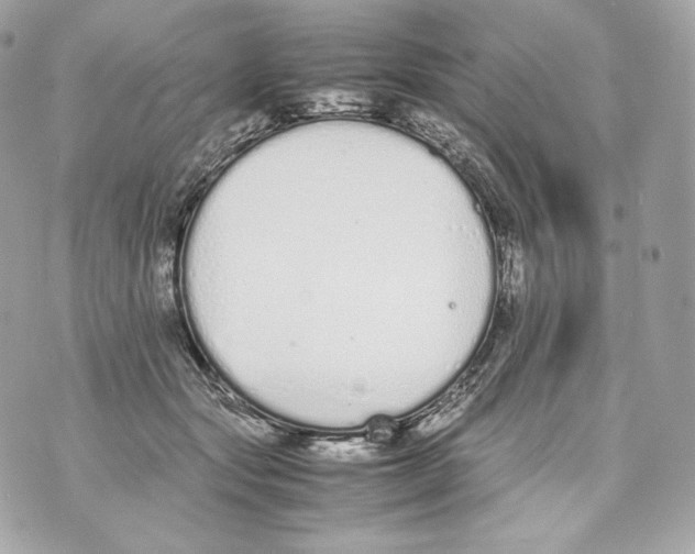 X0000070380557200607072157