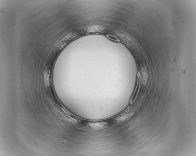 X0000070380558200607072157