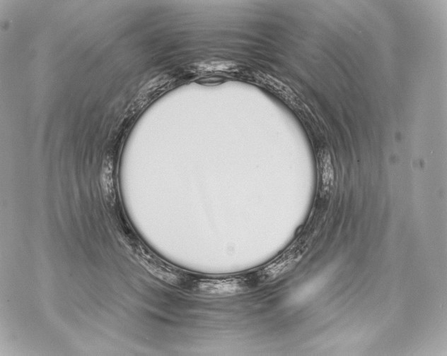 X0000070380559200607072157