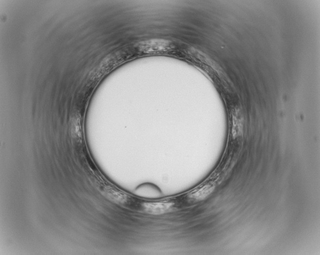 X0000070380561200607072157