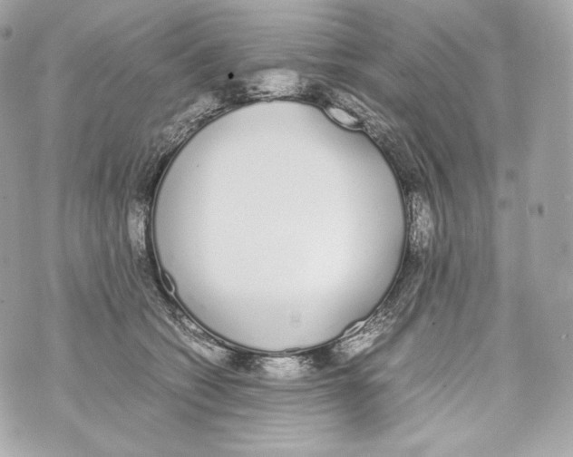 X0000070380562200607072157