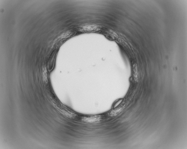 X0000070380563200607072157