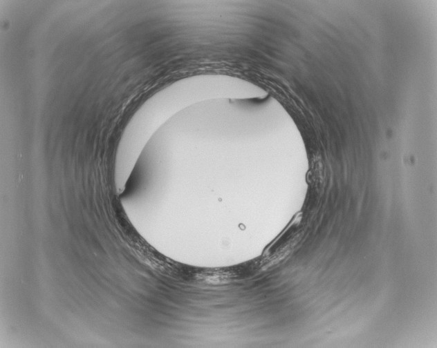 X0000070380564200607072157