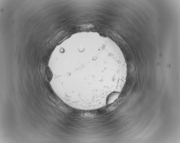 X0000070380565200607072157