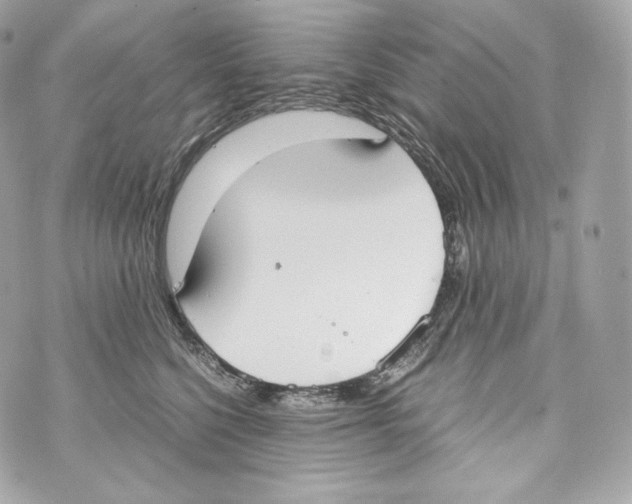 X0000070380568200607072157