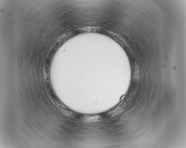 X0000070380569200607072157