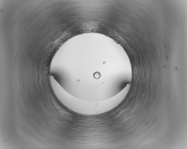 X0000070380570200607072157