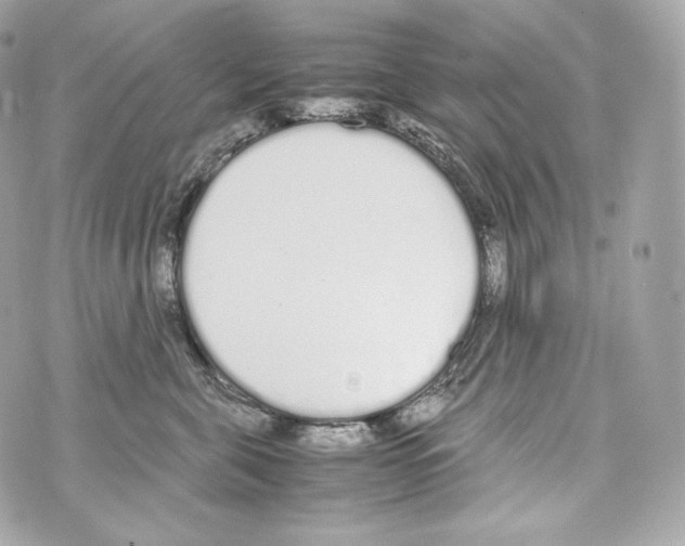 X0000070380571200607072157