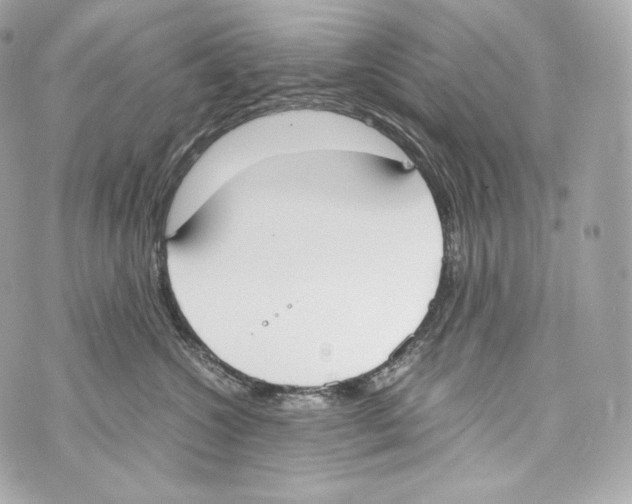 X0000070380572200607072157